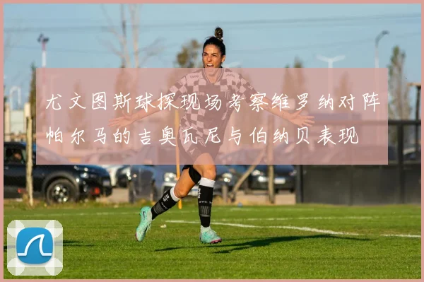 尤文图斯球探现场考察维罗纳对阵帕尔马的吉奥瓦尼与伯纳贝表现