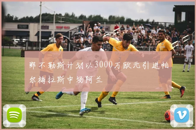 那不勒斯计划以3000万欧元引进帕尔梅拉斯中场阿兰
