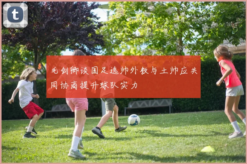 毛剑卿谈国足选帅外教与土帅应共同协商提升球队实力