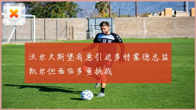 沃尔夫斯堡有意引进多特蒙德总监凯尔但面临多重挑战
