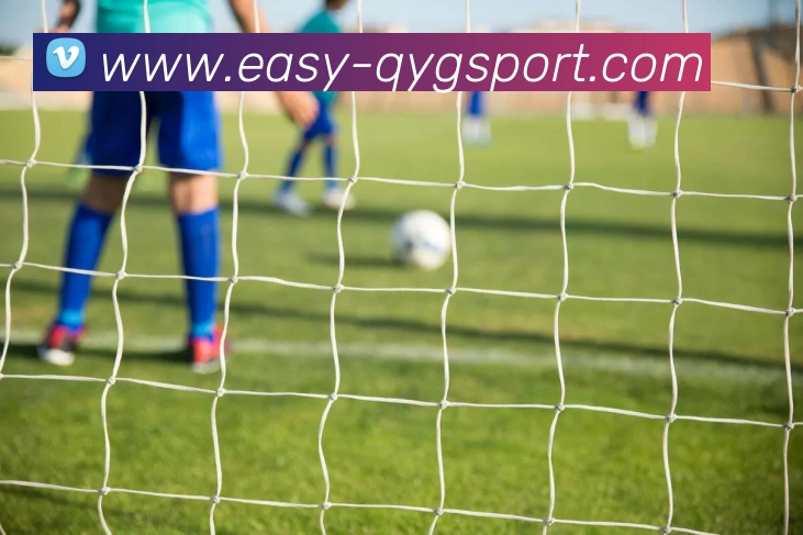 龙赛罗：皇马无需亚马尔五年四夺欧冠的辉煌历史依旧闪耀